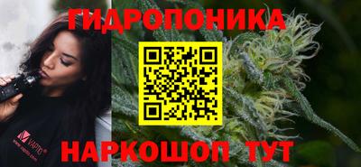 каннабис Новокубанск